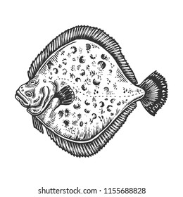 European plaice flounder fish animal engraving vector illustration. Scratch board style imitation. Black and white hand drawn image.