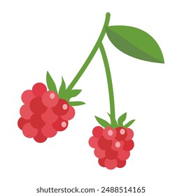 European red raspberry isolated on white background.  Pink raspberries with leaves icon for package design. Vector illustration of fruits and berries in flat style.