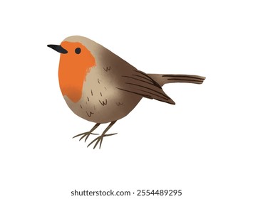 European Robin bird clipart, isolated vector illustration.