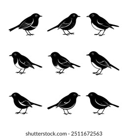 Pacote de Silhueta Robin Bird Europeu, Ilustração Vetorial, Clipart