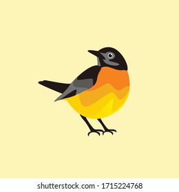 European Robin looking back vector