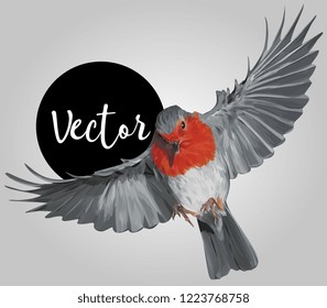 European robin Vector Hand Drawn Illustration