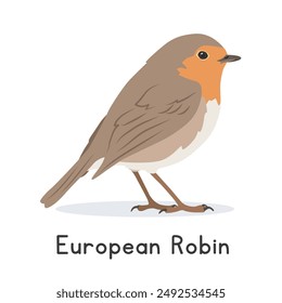 European robin vector illustration, cartoon clipart character, animal in flat style. Wild animals, avian, birds concept. Cute robin redbreast vector design isolated on white background