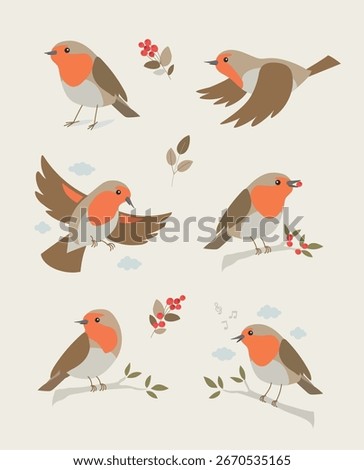 European Robin Vector Illustration – Multiple Poses
