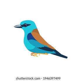 European roller Bird Cartoon flat style character of ornithology, vector illustration isolated on white.