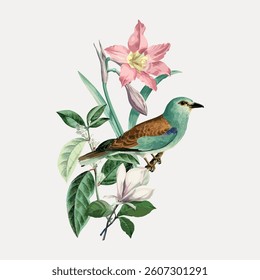 European roller bird, illustration isolated on white, vector. 