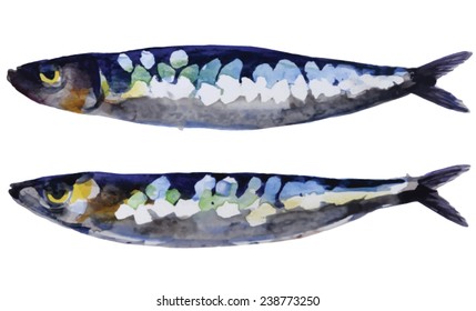 Atlantic Mackerel Ocean Fish Isolated Handmade Stock Vector (Royalty ...