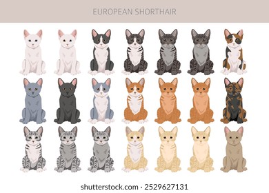 European Shorthair Cat clipart. All coat colors set.  All cat breeds characteristics infographic. Vector illustration