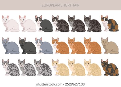 Clipart europeo de gatos de pelo corto. Todos los colores de la capa fijados.  Infografía de todas las características de las razas de gatos. Ilustración vectorial