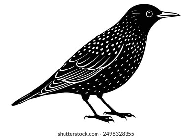 European Starling Silhouette Elegant Bird Art