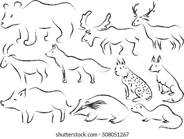 European wildlife