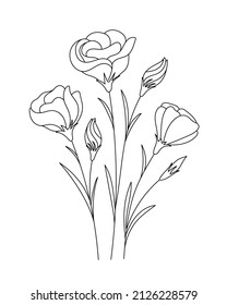 Eustoma flower drawings. Black and white with line art. Hand Drawn Botanical Illustration