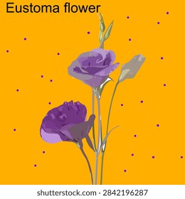 Eustoma flower vector: Purple lisianthus blooming blossoms with buds isolated on vibrant orange background
