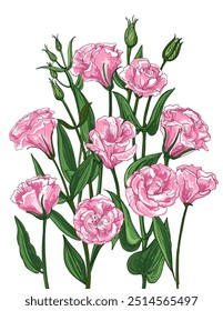Eustoma Sketch of flowers. Flowers vector line drawing. Drawn by a black line on a white background.