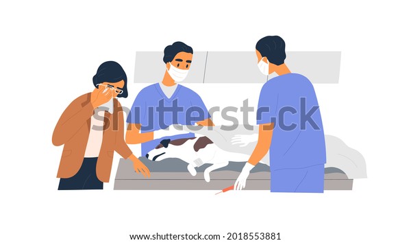 Euthanasia and death of incurable dog.\
Veterinarians failed to save life. Owner in grief near dead pet\
after unsuccessful operation in vet clinic. Flat vector\
illustration isolated on white\
background