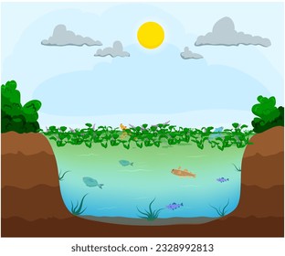 Eutrophication is a process where excessive nutrients, such as nitrogen and phosphorus, in bodies of water lead to algal overgrowth, oxygen depletion, negatively impacting aquatic ecosystems.