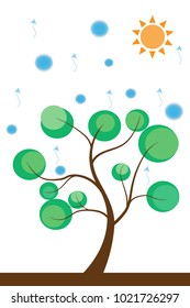 Evaporation of plants,vector art and illustration.