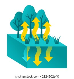 Evapotranspiration Axonometric Illustration - Water Evaporation And Transpiration From Ground Surface To Atmosphere. Vector Illustration