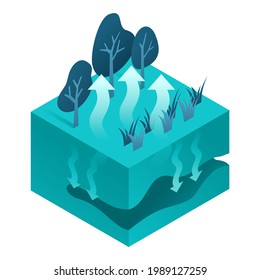 Evapotranspiration Isometric Illustration - Water Evaporation And Transpiration From Ground Surface To Atmosphere. Vector Illustration