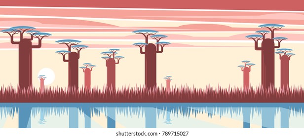 Evening African landscape with baobas near the lake in the background of the sundown and clouds. Nature of Madagascar vector flat illustration. Africa sunset background