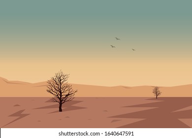 evening in desert with birds