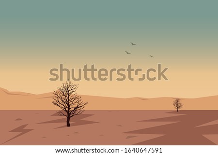 evening in desert with birds