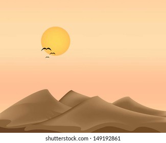 Evening desert  and the birds flying.