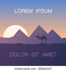 Evening in Egypt near pyramids. Camel in sunset, vector background for text