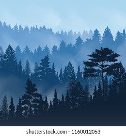 Evening fog over tops of trees of pine forest vector illustration