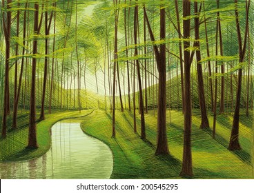 Evening Forest