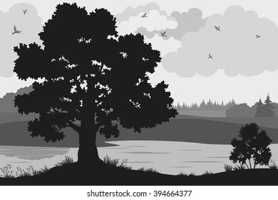 Evening Forest Landscape, Oak Trees, Bushes and Grass on the River Bank and Birds in the Cloudy Sky, Black and Grey Silhouettes on White Background. Vector