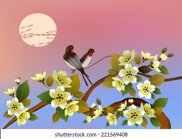 Evening in the garden blooming cherry and birds sing . Sakura .