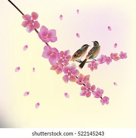 Evening in the garden blooming cherry and birds sing