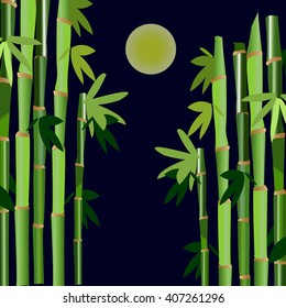 evening landscape with bamboo