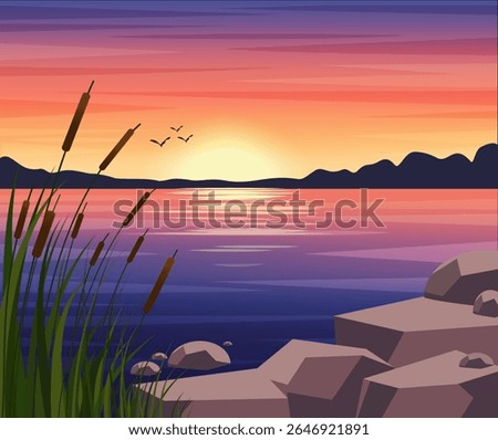  Evening landscape with lake at sunset, sun reflection in water, stones and reeds in foreground, summer nature vector landscape. Outdoor recreation.
