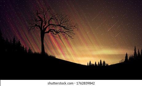 Evening landscape with orange sunset, starry sky, clouds, fields with coniferous trees and old alone tree on front ground