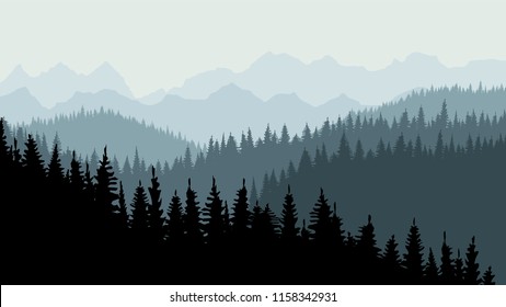 Evening or morning forest of coniferous spruce trees at dusk. Calm background, template for design. 10 eps