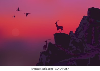Evening nature