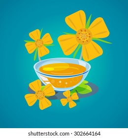 evening primrose oil - vector illustration