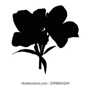 Espectáculo vectorial de silueta de primarosa por la noche fondo blanco.