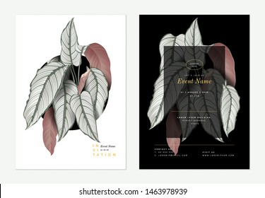 Event invitation card template design, Calathea ornata plant decorated on black