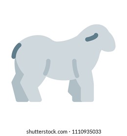 Even-toed Ungulates, Sheep