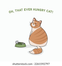 Ever hungry cat with bowl of eaten fish. Pet of sad muzzle. Vector flat illustration