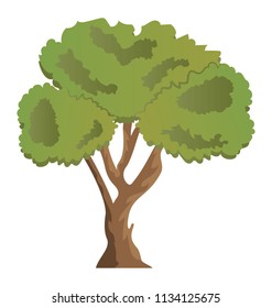 
Evergreen beautiful linden tree flat icon 
