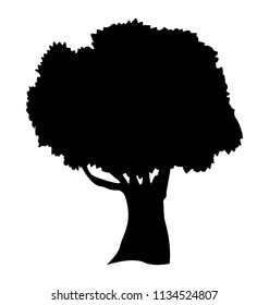 
Evergreen beautiful linden tree glyph icon 
