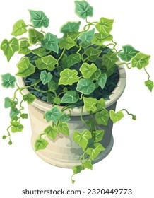 Evergreen Beauty: English Ivy in Pot - Indoor Greenery