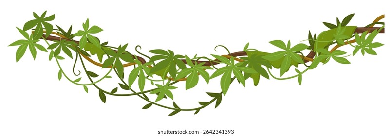 Evergreen climbing plant. Cartoon rainforest liana vines, jungle liana plants, tropical climbing ivy creepers flat vector illustration. Exotic ivy creeper