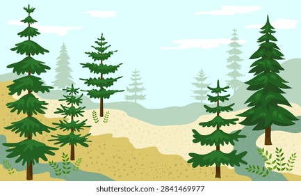 Evergreen Conifer Forest Landscape with Spruce and Fir Trees