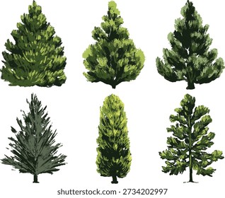 Evergreen Conifer Illustrations Set. A collection of stylized evergreen trees and conifers in various shapes and textures, perfect for nature-themed architectural visualization and digital landscape design.