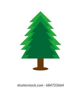 Evergreen conifer on white background